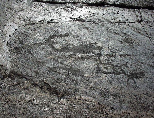 петрогліфи Онезького озера