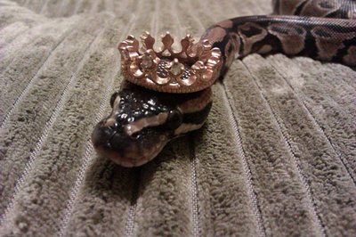 царица змей